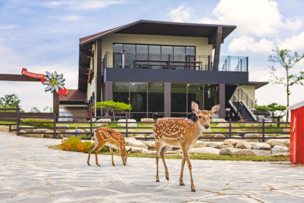 Kensington Resort Seorak Valley Sokcho Exterior photo